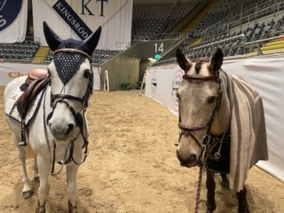 Foran og bak kulissene ved Kingsland Oslo Horse Show 2021